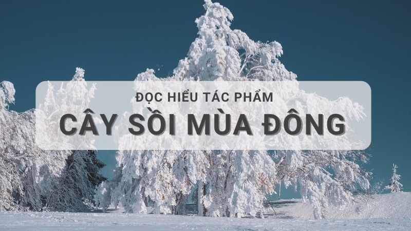 Soạn bài Cây sồi mùa đông lớp 8 Chân trời sáng tạo