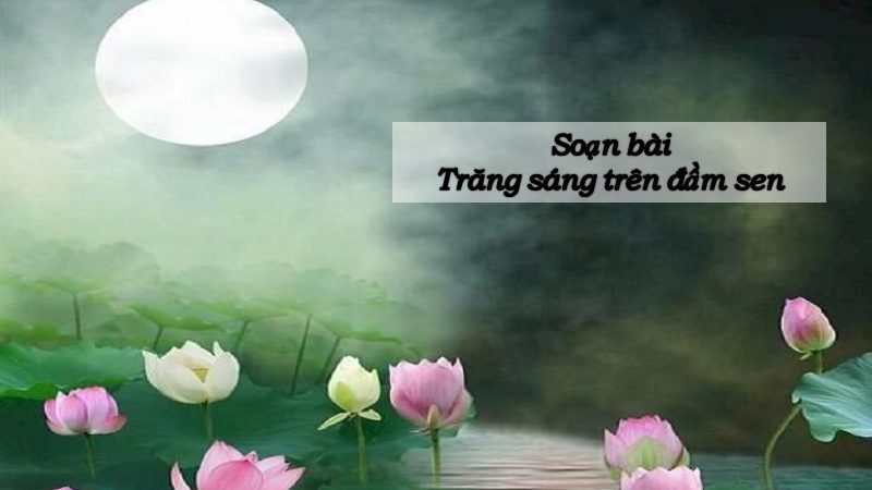 Soạn bài Trăng sáng trên đầm sen lớp 11 (Chân trời sáng tạo)