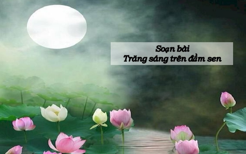 Soạn bài trăng sáng trên đầm sen