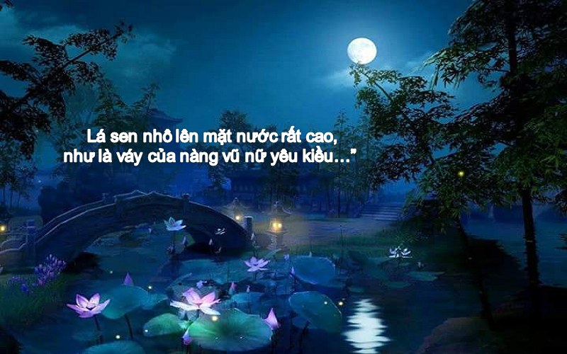 Soạn trăng sáng trên đầm sen