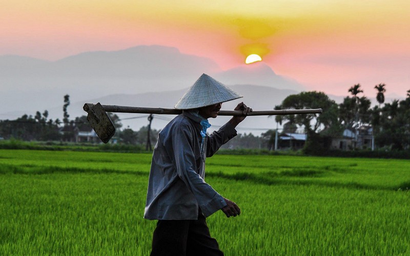 Soạn văn mùa xuân nho nhỏ