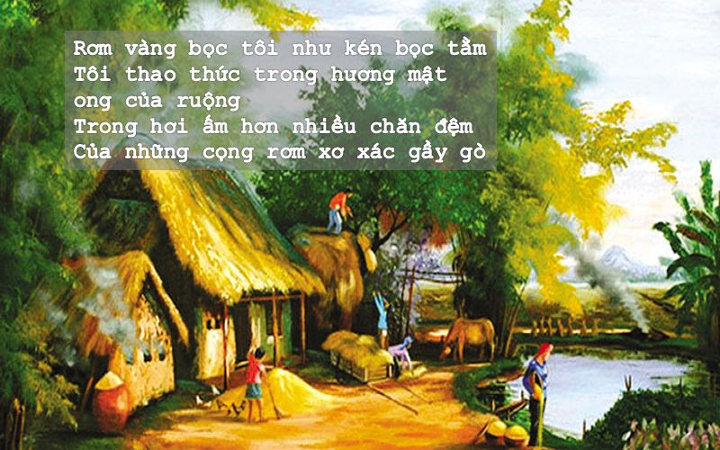 Tuyển tập thơ Nguyễn Duy