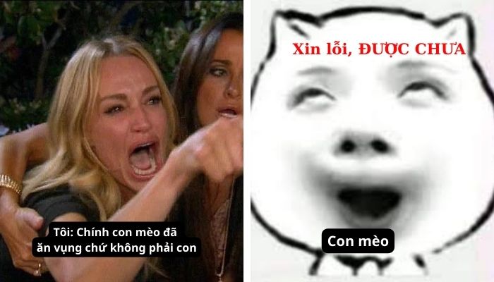 Xin lỗi được chưa meme