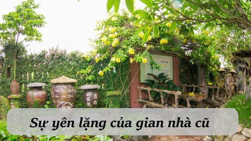 Soạn bài Dưới bóng hoàng lan Chân trời sáng tạo 10 