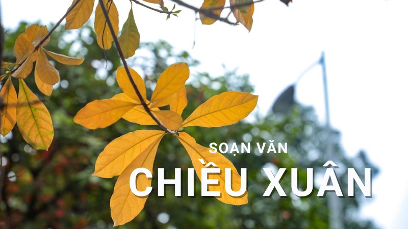 Soạn bài Chiều xuân (Anh Thơ) – Chân trời sáng tạo 11