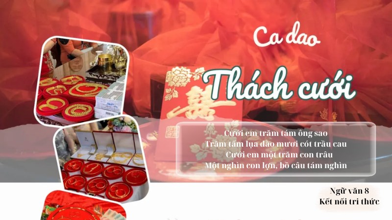 soạn bài chùm ca dao trào phúng lớp 8