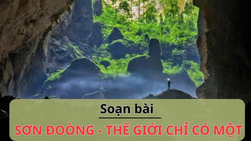 Soạn bài Sơn Đoòng – Thế giới chỉ có một, Ngữ văn 11 Chân trời sáng tạo