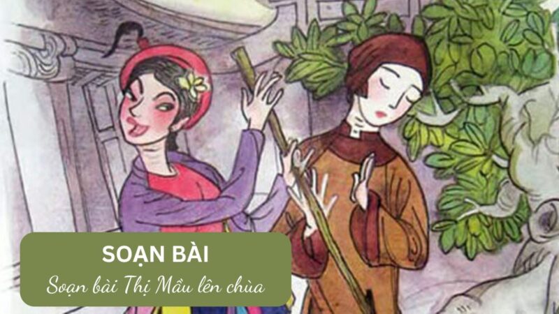 Soạn bài Thị mầu lên chùa (Chèo cổ) – Chân trời sáng tạo tập 1