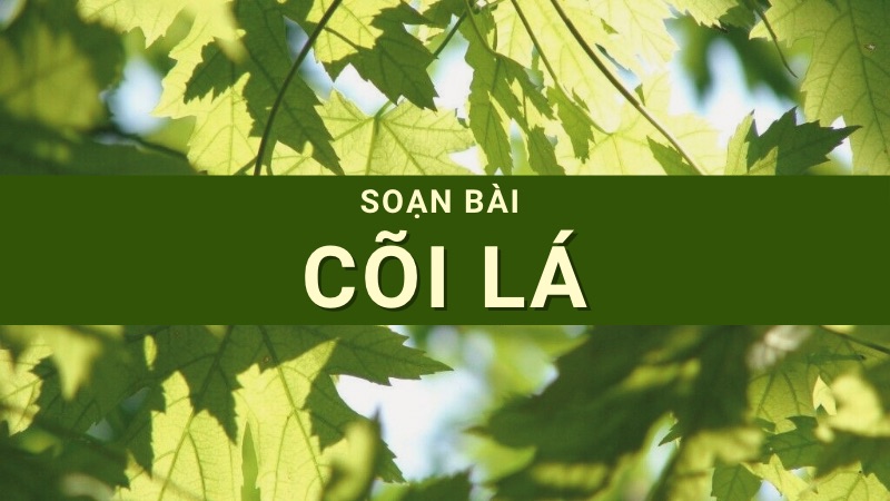 Soạn bài Cõi lá ngắn nhất – Chân trời sáng tạo 11