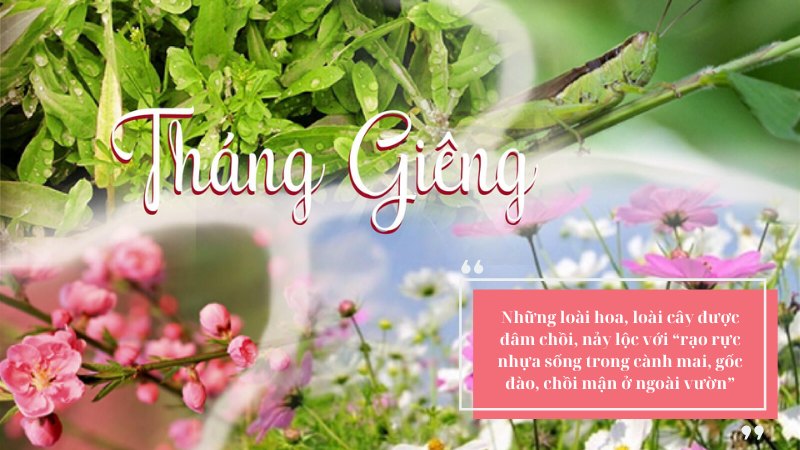 Soạn bài Tháng Giêng, mơ về trăng non rét ngọt (Vũ Bằng)