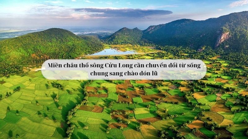 soạn văn 8 Miền châu thổ sông Cửu Long cần chuyển đổi từ sống chung sang chào đón lũ