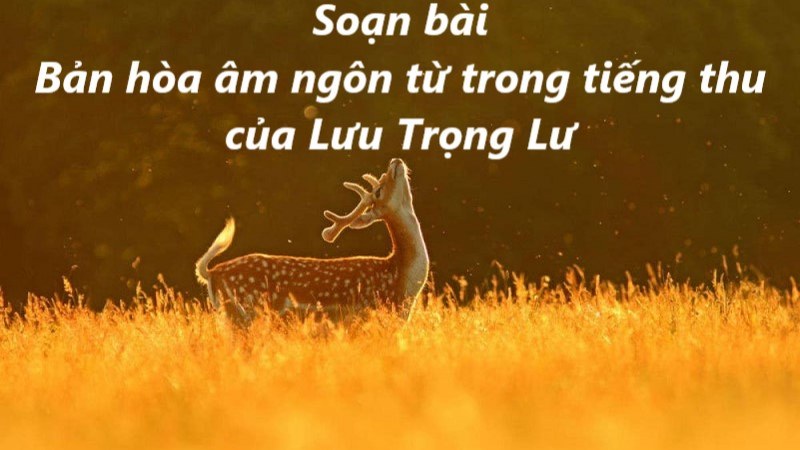 bản hòa âm ngôn từ trong tiếng thu của lưu trọng lư