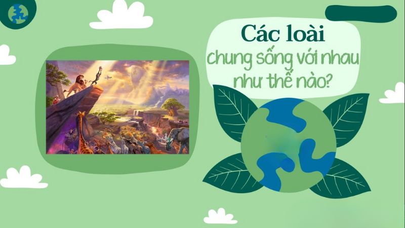 Các loài chung sống với nhau như thế nào