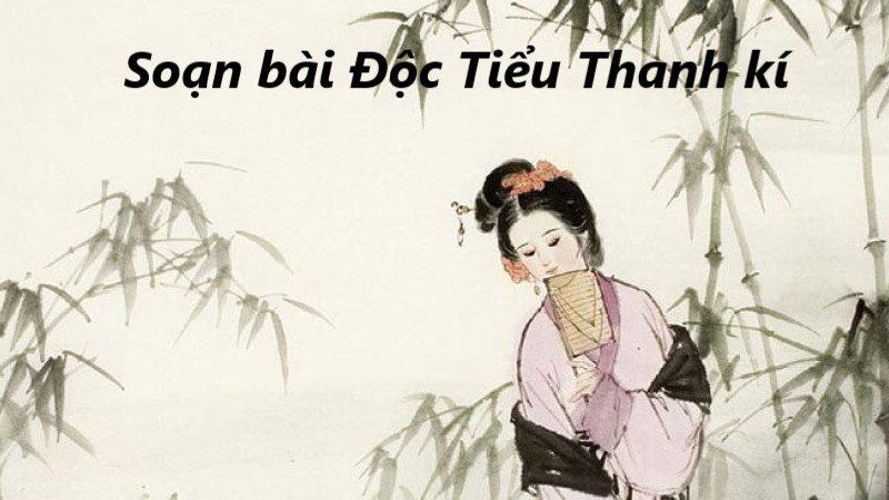 độc tiểu thanh kí