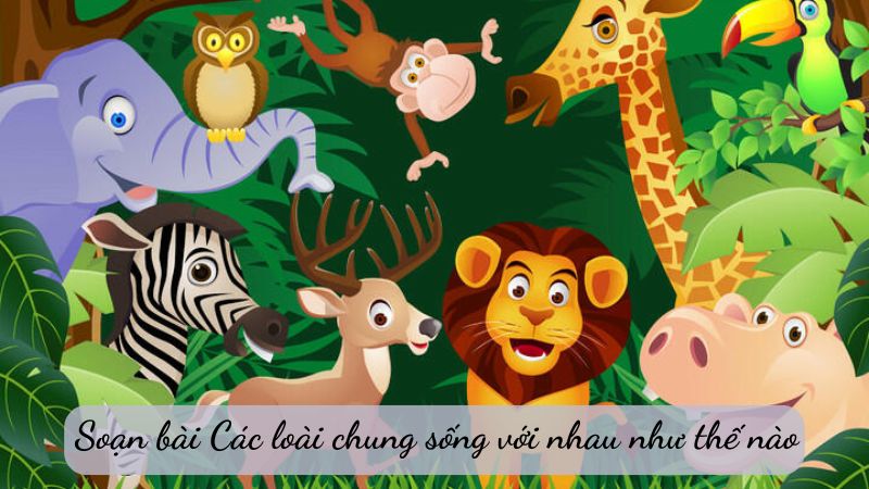 Soạn bài Các loài chung sống với nhau như thế nào – Ngữ Văn 6