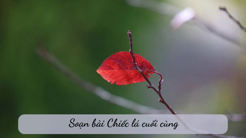 Soạn bài Chiếc lá cuối cùng