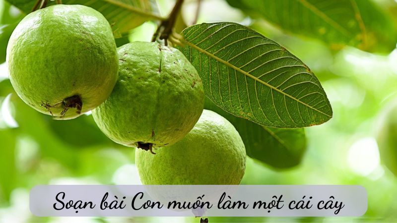 Soạn bài Con muốn làm một cái cây, Chân trời sáng tạo