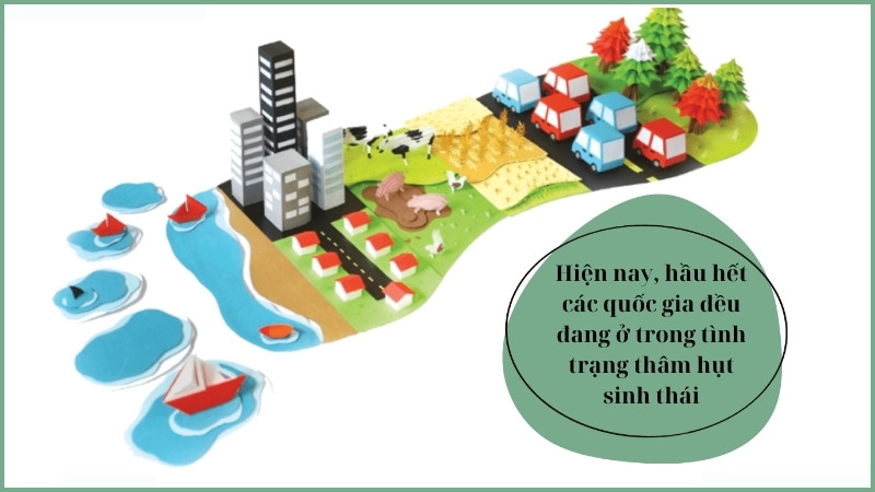 soạn bài dấu chân sinh thái của mỗi người và thông điệp từ trái đất lớp 8 kết nối tri thức