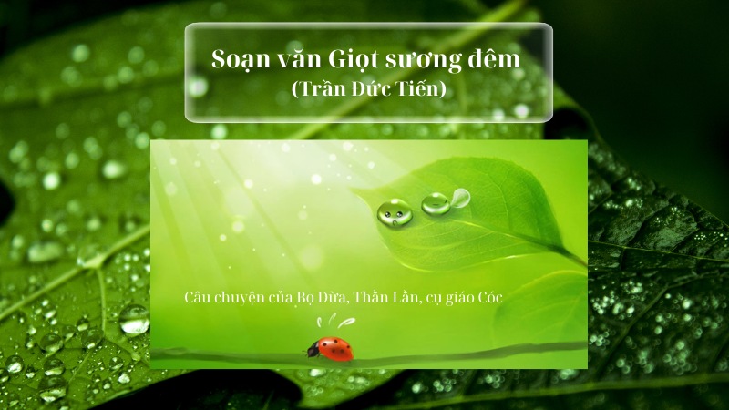 soạn bài giọt sương đêm