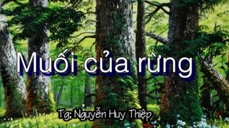 soạn bài muối của rừng