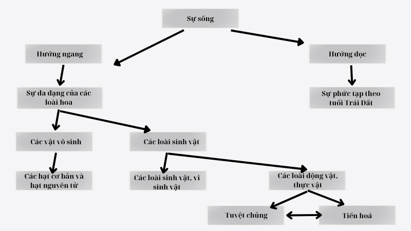 soạn bài sự sống và cái chết