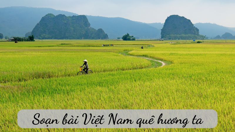 Soạn bài Việt Nam quê hương ta, Ngữ văn lớp 6