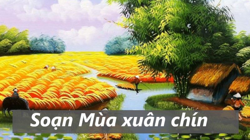 soạn mùa xuân chín