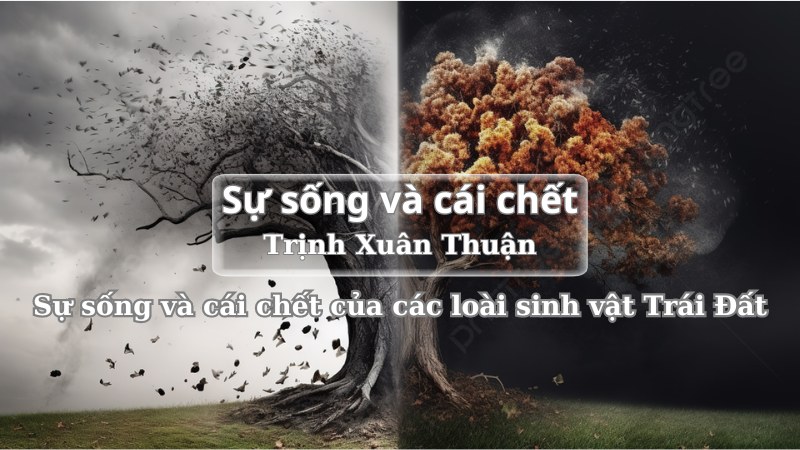 soạn sự sống và cái chết