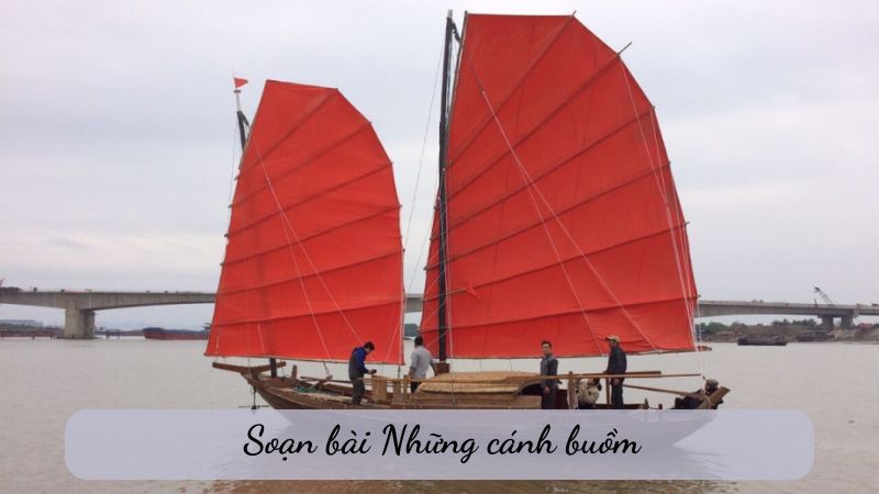 soạn văn bài Những cánh buồm