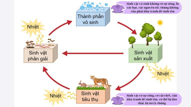 soạn văn sự sống và cái chết