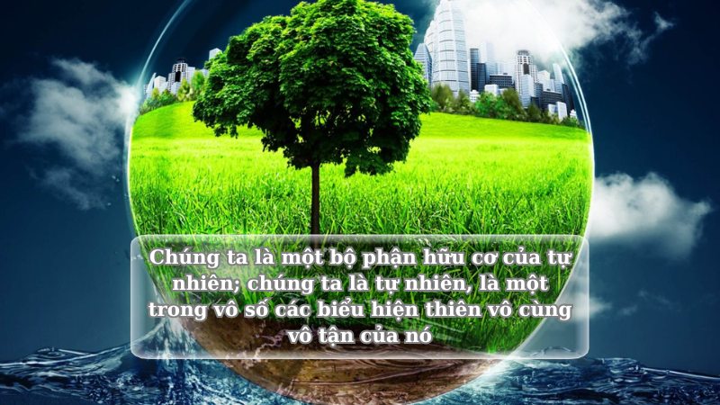 soạn về chính chúng ta