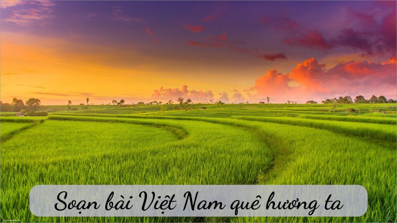 Việt Nam quê hương ta