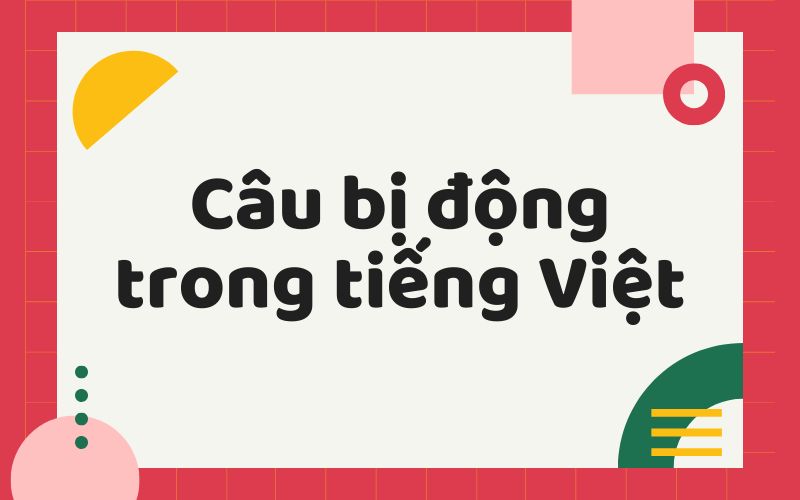 Câu bị động tiếng Việt