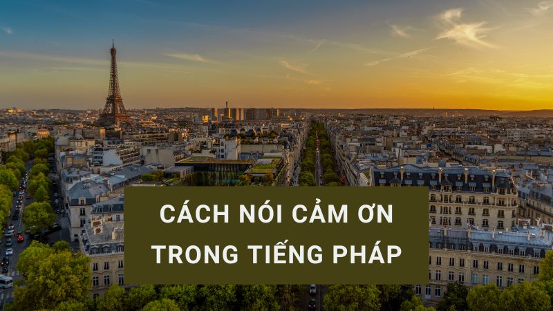 merci trong tiếng pháp là gì