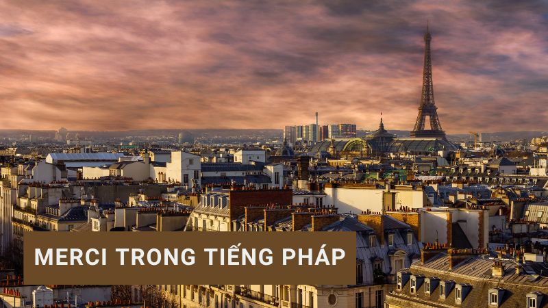 Merci trong tiếng Pháp