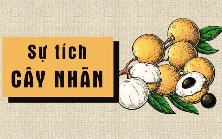 Sự tích cây nhãn: Câu chuyện về mắt Rồng và tình thương của con người