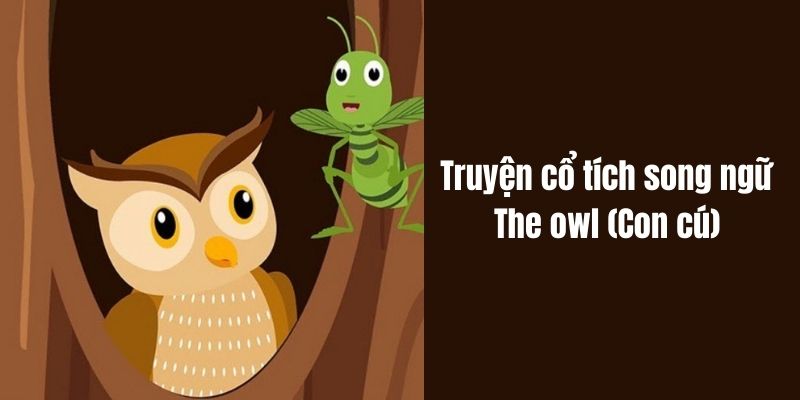 Truyện cổ tích nước ngoài: Truyện cổ tích song ngữ: The owl (Con cú)