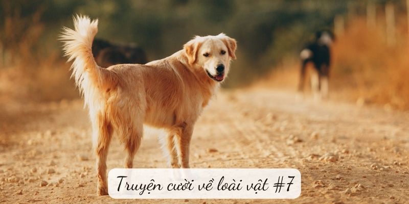 Truyện cười: Truyện cười về loài vật #7