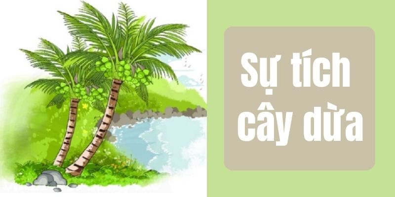 Truyện cổ tích Việt Nam: Sự tích cây dừa