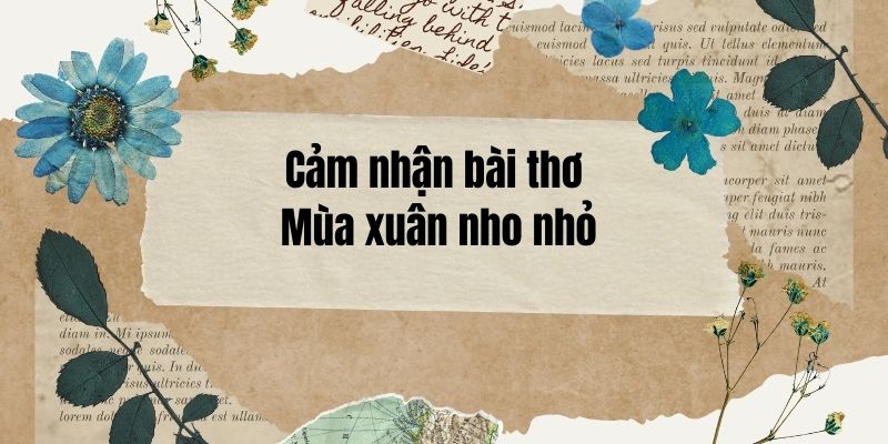 Top 25 Cảm nhận bài thơ Mùa xuân nho nhỏ (điểm cao)