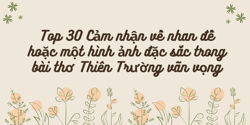 Top 30 Cảm nhận về nhan đề hoặc một hình ảnh đặc sắc trong bài thơ Thiên Trường vãn vọng