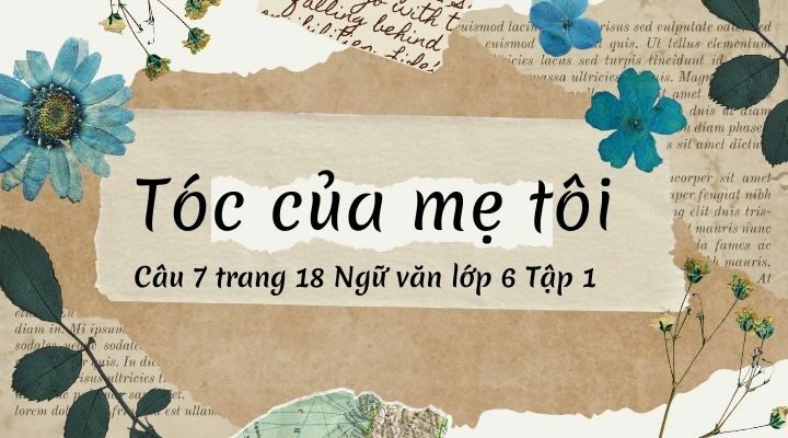 Đọc bài thơ Tóc của mẹ tôi (Phan Thị Thanh Nhàn), chỉ ra những