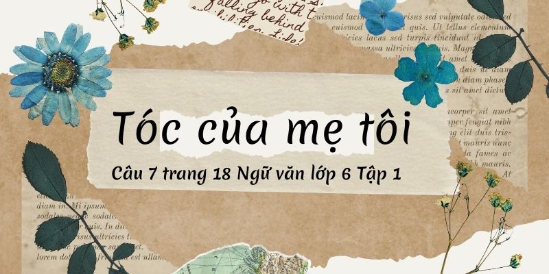 Đọc bài thơ Tóc của mẹ tôi (Phan Thị Thanh Nhàn), chỉ ra những