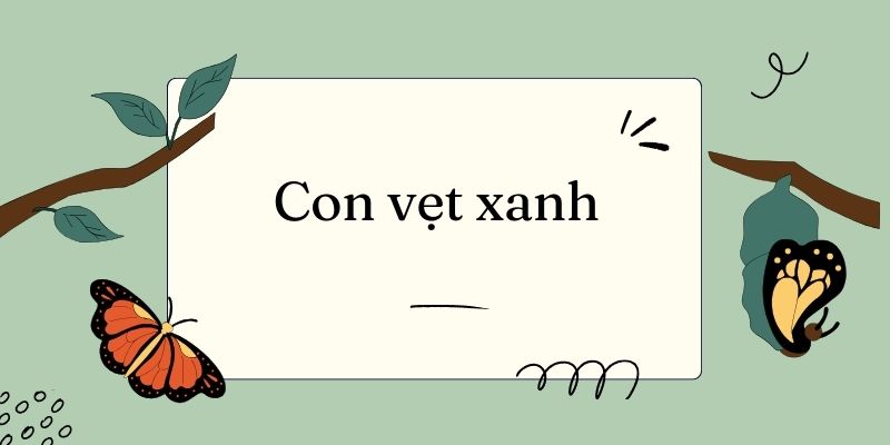 Bài 13: Con vẹt xanh – Tiếng Việt lớp 4 Kết nối tri thức