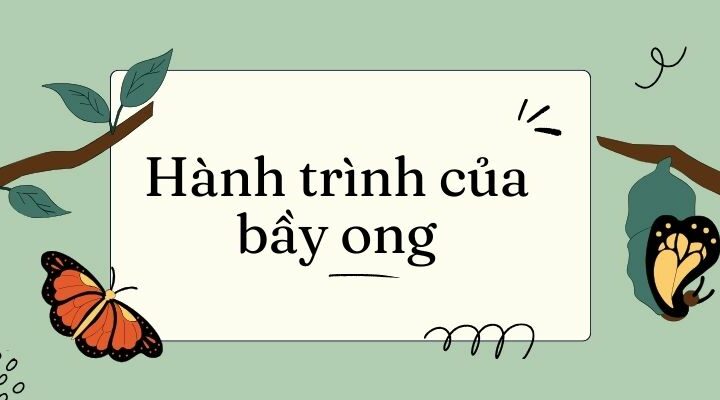 Hành trình của bầy ong – Tiếng Việt lớp 5