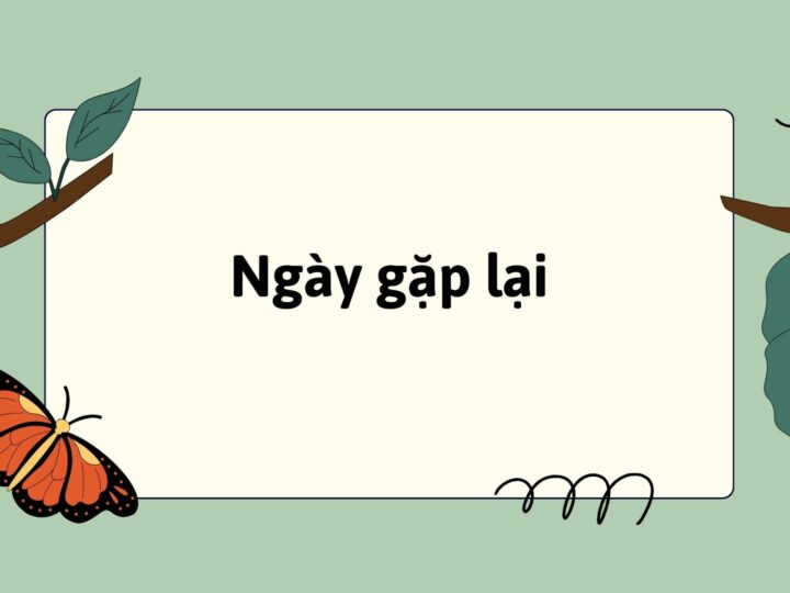 Bài 1: Ngày gặp lại Tiếng Việt lớp 3 Kết nối tri thức