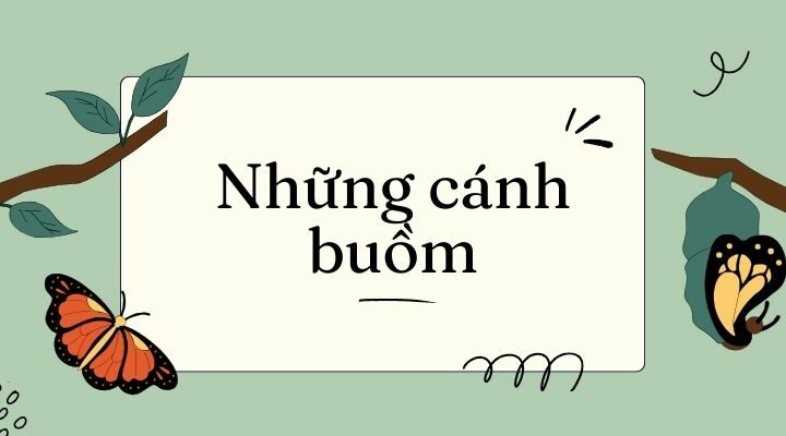 Những cánh buồm lớp 4 (sách mới)