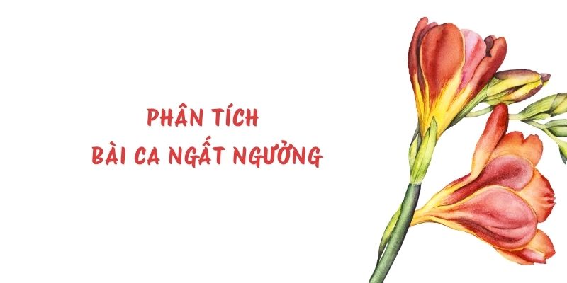 Phân tích Bài ca ngất ngưởng (hay, ngắn gọn)