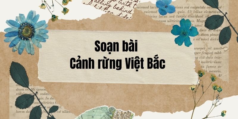 Soạn bài Cảnh rừng Việt Bắc – Cánh diều