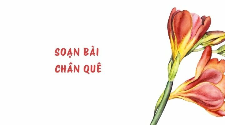 Soạn bài Chân quê – ngắn nhất Chân trời sáng tạo